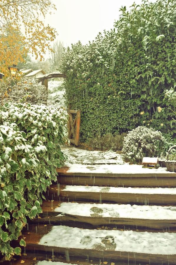 Hostería Bärenhaus San Martin de los Andes Ngoại thất bức ảnh